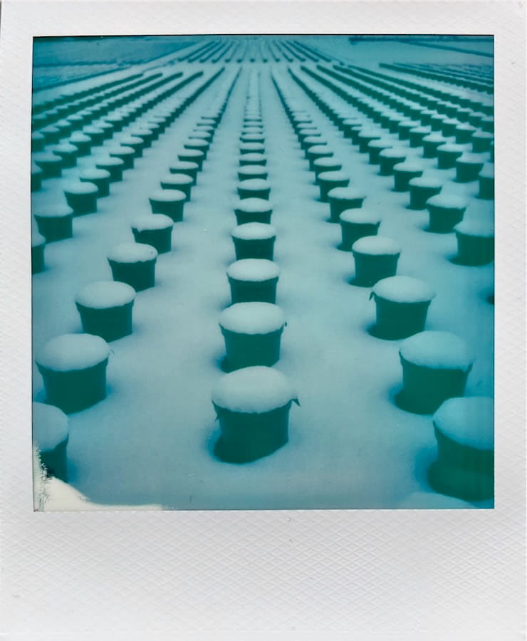 Rows of plant pots covered in snow fading into the background.