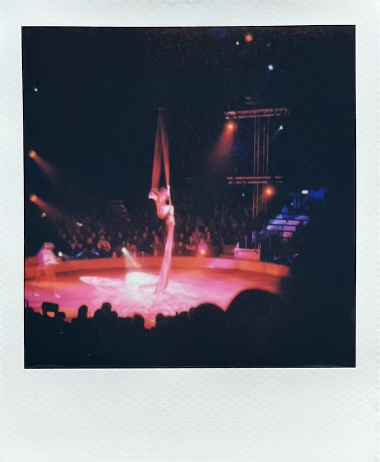 Circus artists in a bright red illuminated typical round stage.
      You can see parts of the audience behind, next to the stage, and in front
      - as silhouettes - as well as some stage lights.