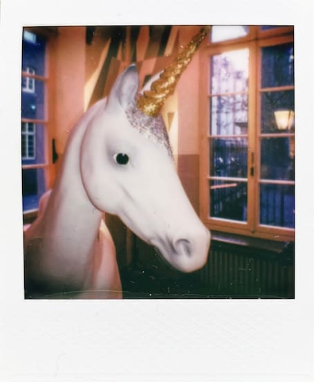 The head of a white unicorn with a golden horn. Blue-hour
      windows in the background.