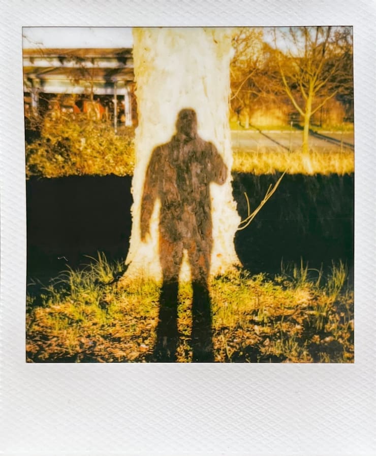 A slightly overexposed image of my shadow projected onto a tree
      trunk. More trees and buildings in the background.