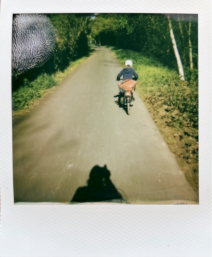 A child on a bike, photographed from behind on a bike, cycling on a path surrounded by bushes.