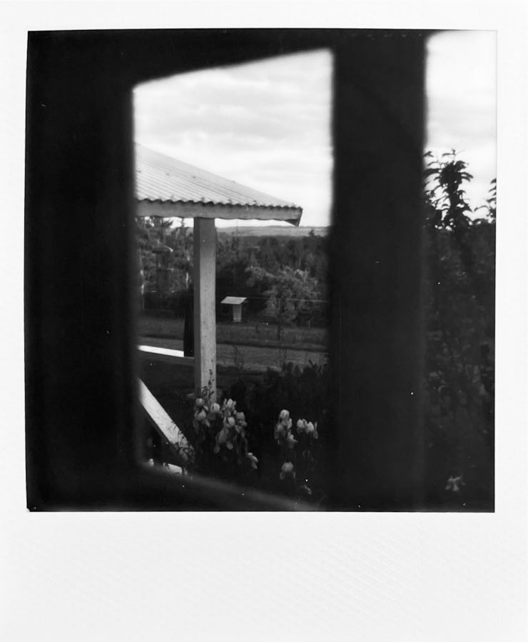Part of a roof of a hut photographed from inside through a window.