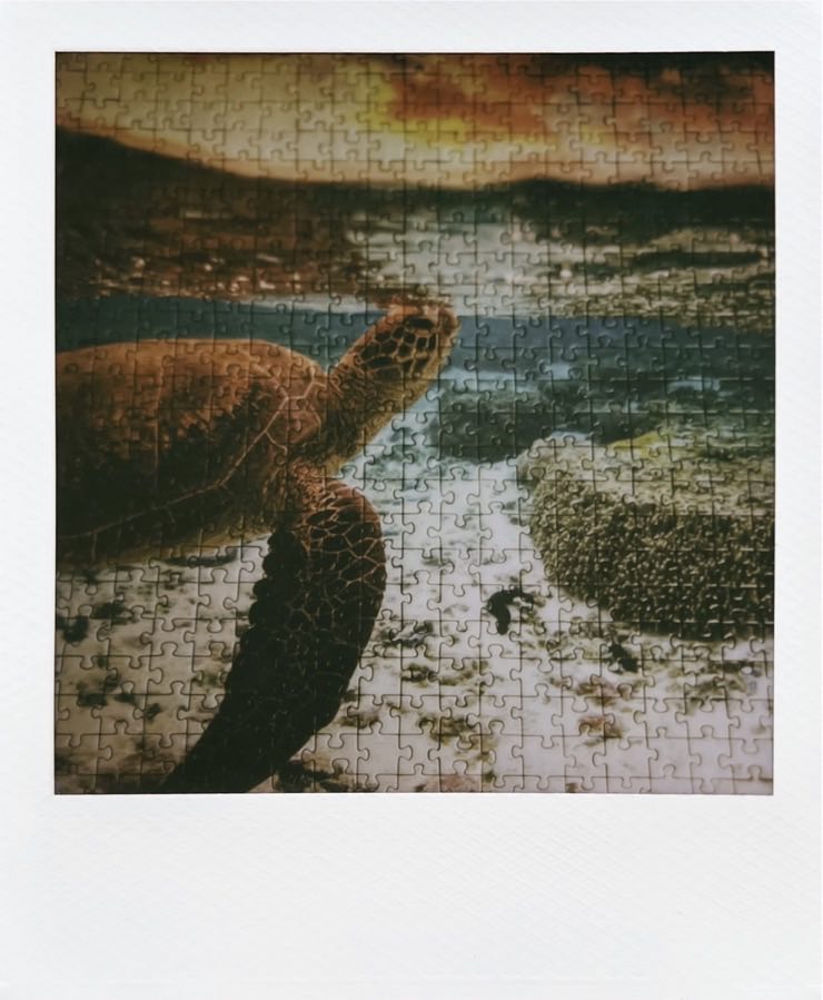 A puzzle of a turtle underwater.