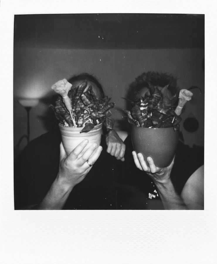 Two men holding flower pots in front of their faces.